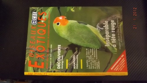 Revue oiseaux exotiques - revue,