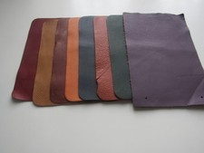 10 échantillons de cuir de bovins pleine fleur pigmentée