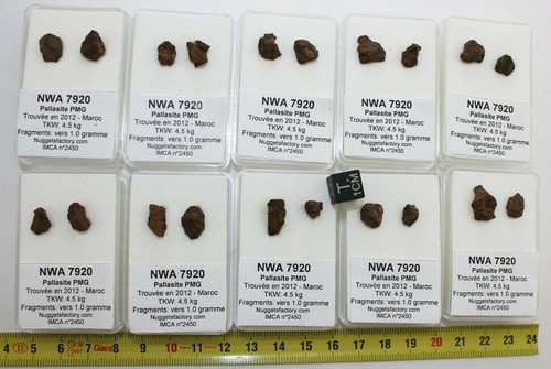 Fragments nwa 7920 pallasite - fragments,