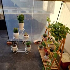 Bâche imperméable transparente pour couverture efficace pour jardin et plante