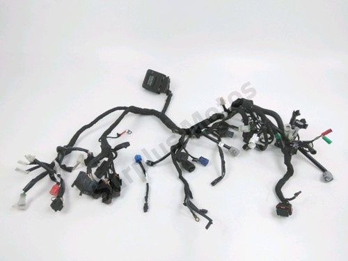 Faisceau electrique ktm - faisceau, duke
