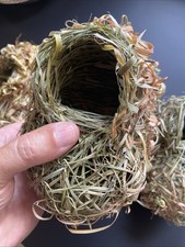 Nids d’oiseaux authentiques