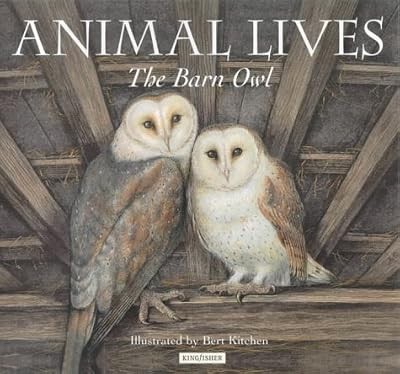 Barn owl - owl, (animal