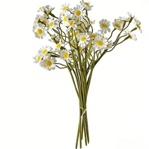 Bouquet fleurs marguerites - de,