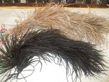 ANCIENNE PLUMES D AUTRUCHE 