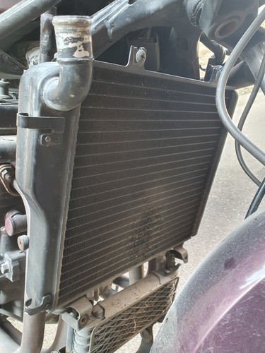 Radiateur complet kawasaki - radiateur,