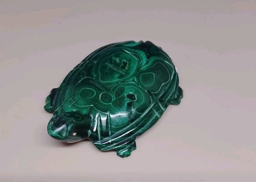 Tortue malachite grs - 78,