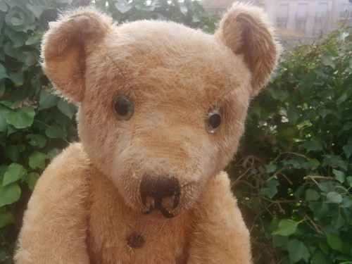 Ours ancien pintel avec - ancien,