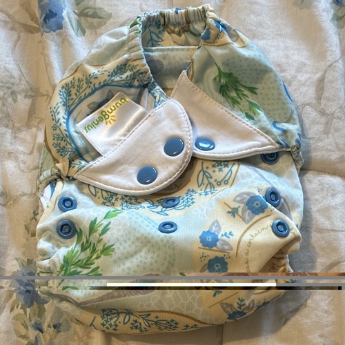 Bumgenius cloth diaper - bumgenius, in