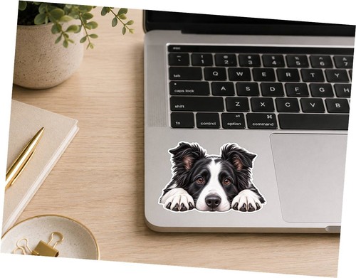 Border collie sticker - border,