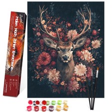 Peinture par Numero Adulte