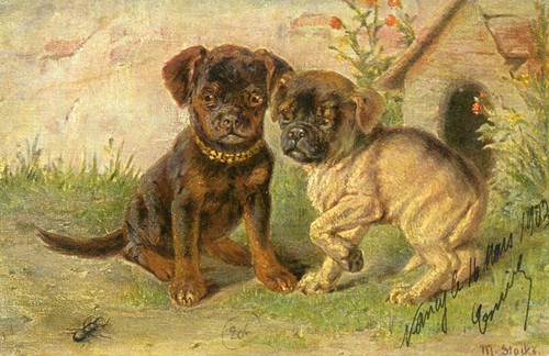 Carte chien deux - carte, mignons