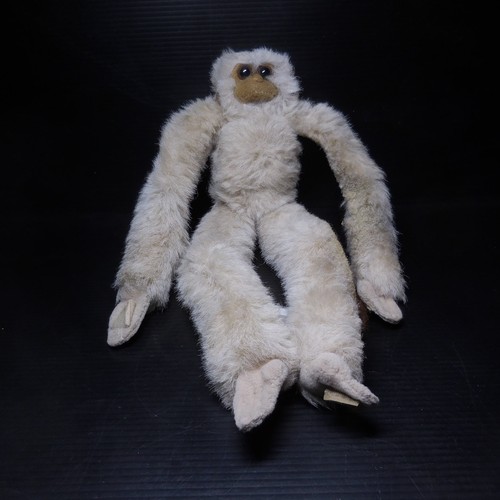N25 267 ouistiti monkey brazil - ouistiti,