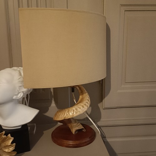 Lampe salon vintage corne - de,