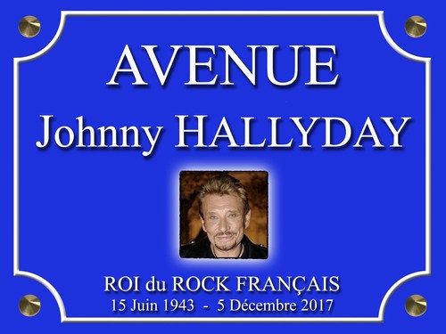 Johnny hallyday 30x20cm - johnny,