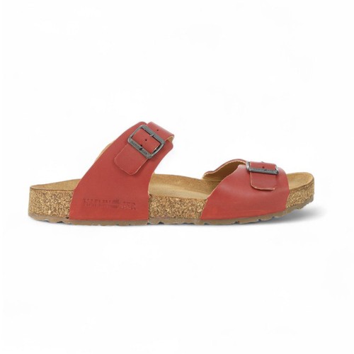 Haflinger unisex andrea - haflinger,