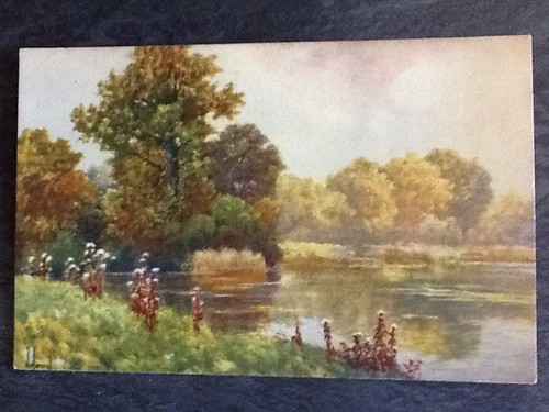 Illustree signee etang - illustree,
