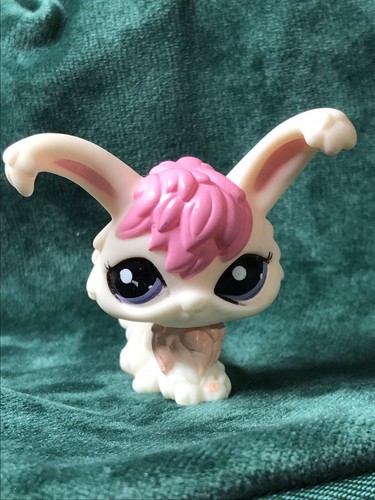 Petshop lapin angora - lapin,