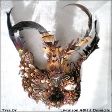 Masque en Plumes Carnaval de