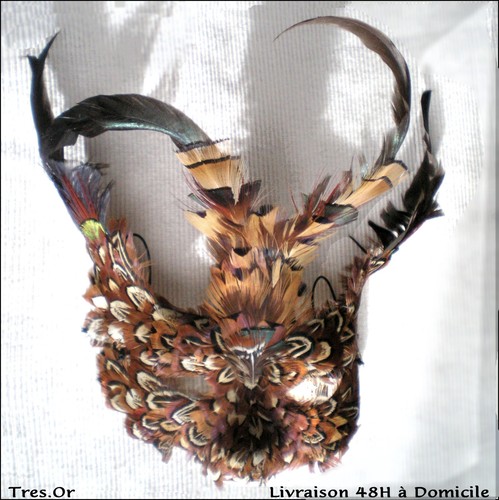 Masque plumes carnaval de - masque,