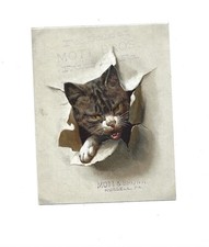 VTC for  Bohemian China Image of  CAT Age late 1800's