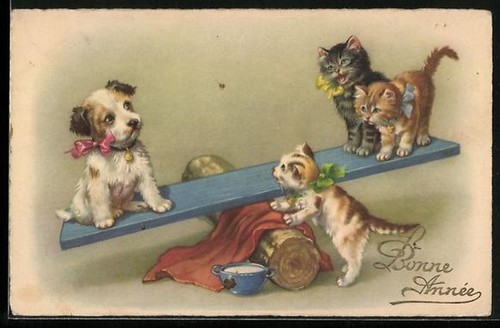Carte postale petits chats - carte, et