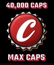 Fallout76 - PC - MAX CAPS 40K