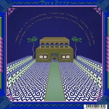 Rare Birds by Jonathan Wilson