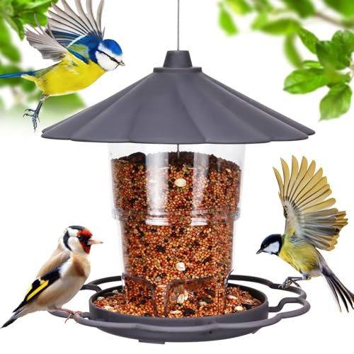 Mangeoire oiseaux exterieur - mangeoire,