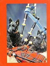 MUSIC MUSIC / CPM / SCOTTIES & BAGPIPE / BAGPIPE BINIOU