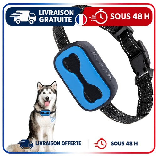 Collier anti aboiement chien - collier,