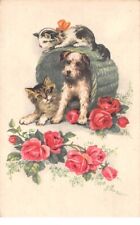 Cat - No. 67020 - Cats in a basket with a dog and roses