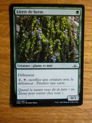 Carte magic mtg lierre - magic,