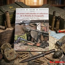 Les armes individuelles et
