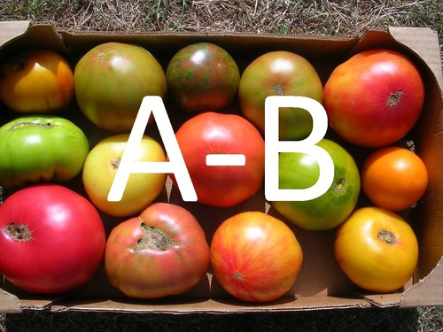 50 varietes de tomate - varietes,
