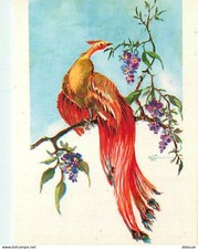 Animals - Birds - Art - Drawing - Painting - CPM - See Duplex Scans