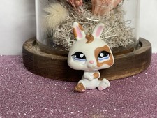 🌸 petshop lapin nain