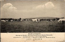 Old postcard fertilizer beef - pole breeding horses percherons (356332)