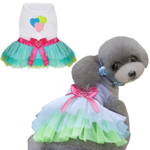 Chien robe luxe - chien,