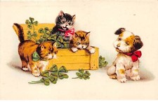 Animals - No. 90214 - Cat - Kittens in a wooden box filled with clover