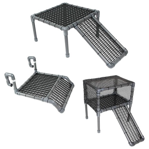 étagère pour tortues - tortues,, rampe