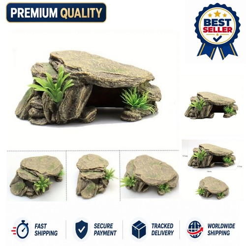 Décoration aquarium tortue - aquarium,
