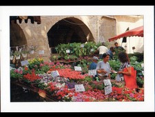 MEDITERRANEAN REGION / MERCHANT STAND at the FLOWER MARKET
