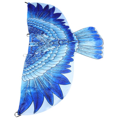 Fête carnaval ailes fée - de,
