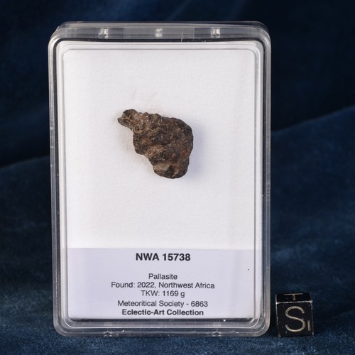 Météorite nwa 15738 77 - 15738, de