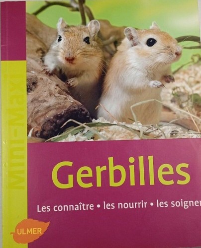Gerbilles bon état - gerbilles, |