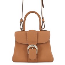 Delvaux Brillon Size Mini
