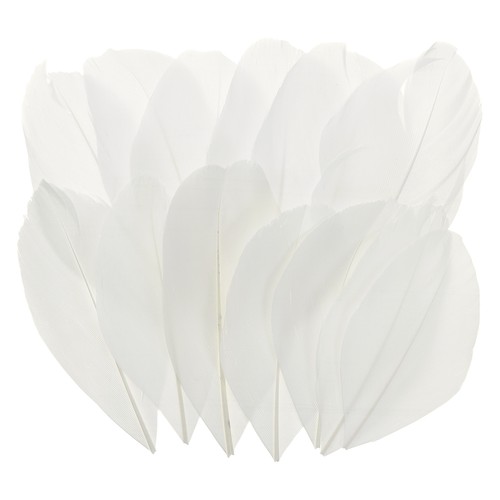 Pièces plumes oie - 80,
