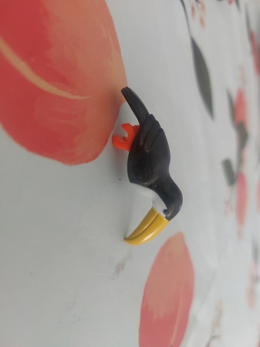 Playmobil toucan oiseau nature - playmobil,