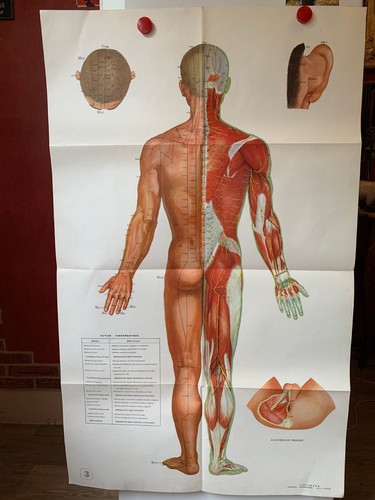 Ancienne affiche medicale - affiche,